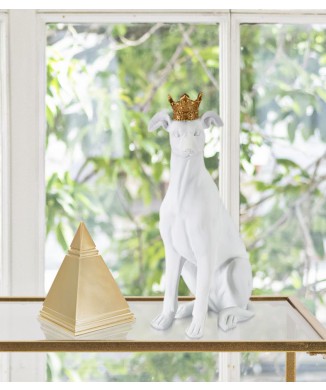 PERRO CON CORONA BLANCA