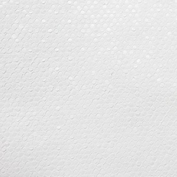 PAPEL PINTADO SERPIENTE ADRIANI & ROSSI