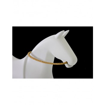 ROCKY HORSE MT310 MAGIS YO TAMBIÉN