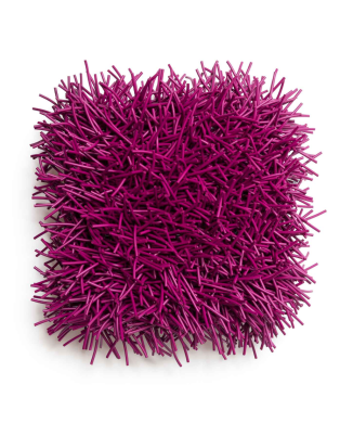 Almohada NEO de puercoespín