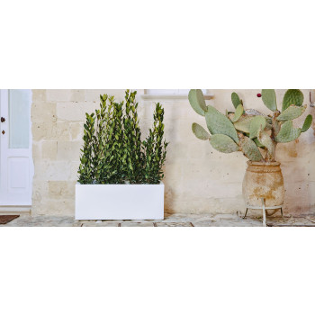 LAMPARA REFRIGERANTE MACETERO MEXICO Y CHAMPAGNE CON LED RECARGABLE 70009LED QEEBOO