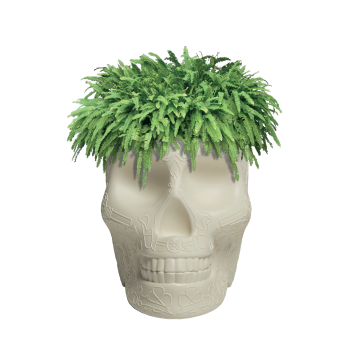 JARDINERA MEXICO Y ENFRIADOR CHAMPAGNE 70007 QEEBOO