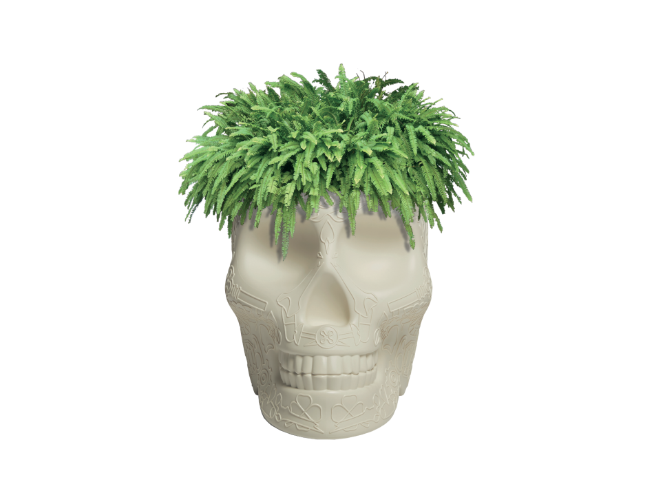 JARDINERA MEXICO Y ENFRIADOR CHAMPAGNE 70007 QEEBOO