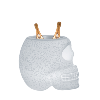 LAMPARA REFRIGERANTE MACETERO MEXICO Y CHAMPAGNE CON LED RECARGABLE 70009LED QEEBOO