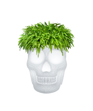 LAMPARA REFRIGERANTE MACETERO MEXICO Y CHAMPAGNE CON LED RECARGABLE 70009LED QEEBOO