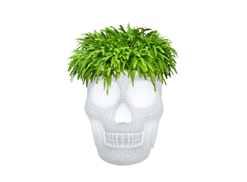 LAMPARA REFRIGERANTE MACETERO MEXICO Y CHAMPAGNE CON LED RECARGABLE 70009LED QEEBOO