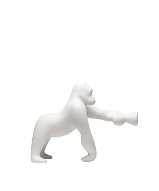 KONG XS 10002 QEEBOO