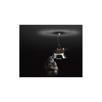 EDEN TORREMATO lámpara colgante