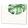 Pizarra LEAF G6846 PINTDECOR