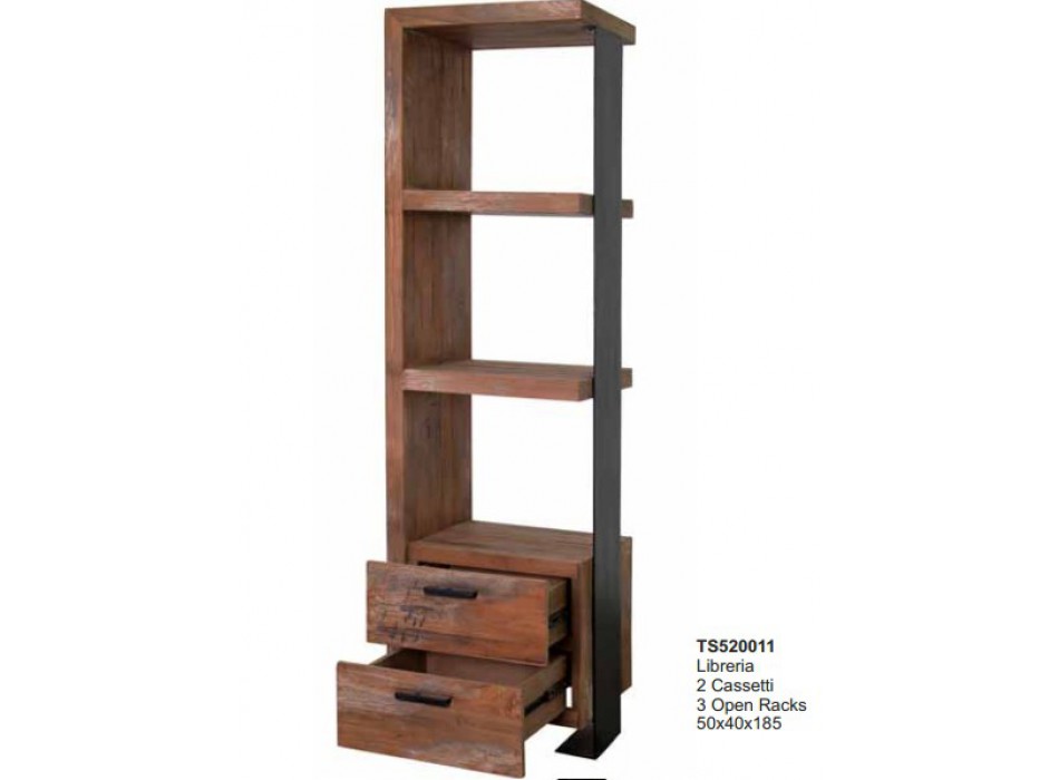 TS520011 BIBLIOTECA IDI