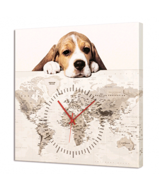 Reloj PERRITO G3624 PINTDECOR