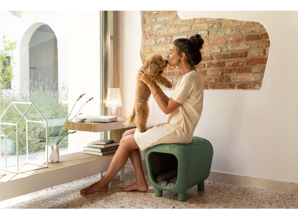 Diapositiva Pancuccia SD PET040