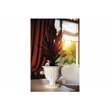 OLLA DE AMOR SD POL035 DIAPOSITIVA