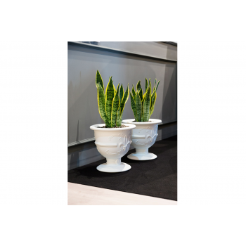 OLLA DE AMOR SD POL035 DIAPOSITIVA