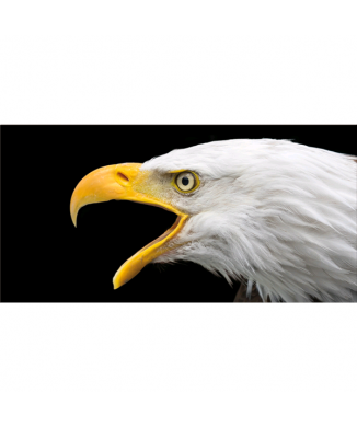 Marco ÁGUILA G5916 PINTDECOR