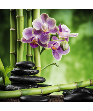 Marco BAMBÚ G2246 PINTDECOR