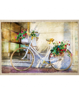 Marco FLORAL BICICLETA G4244 PINTDECOR