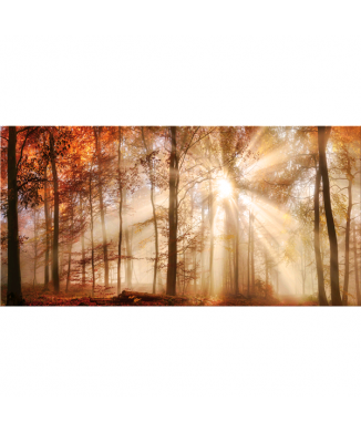 Marco BOSCO G5380 PINTDECOR