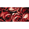 Marco BOUQUET ROSSO G1092 PINTDECOR