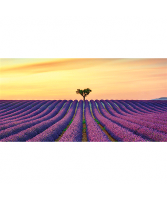 Marco INFINITE FIELDS G4138 PINTDECOR