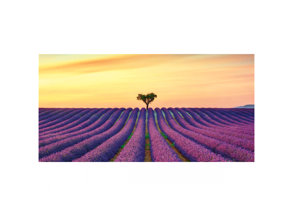 Marco INFINITE FIELDS G4138 PINTDECOR