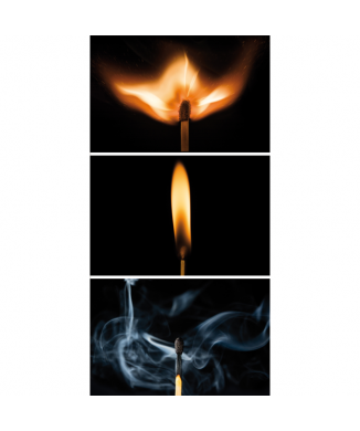 Marco CARPE DIEM G2504 PINTDECOR