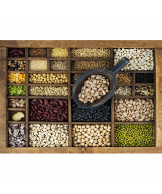 Cuadro CAJONES DE SEMILLAS G1828 PINTDECOR