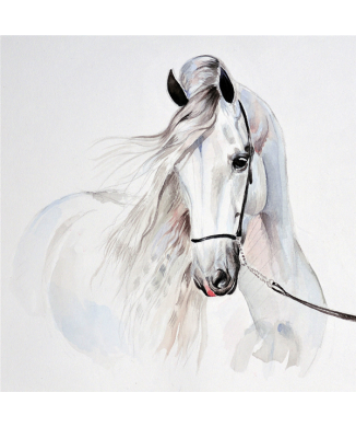 Marco CABALLO BLANCO G2006 PINTDECOR