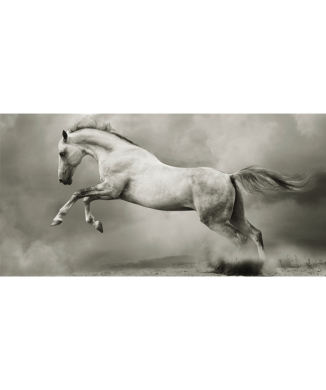 Marco RUNNING HORSE G2008 PINTDECOR