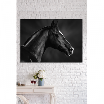 Marco CABALLO NEGRO BOZAL G1998 PINTDECOR