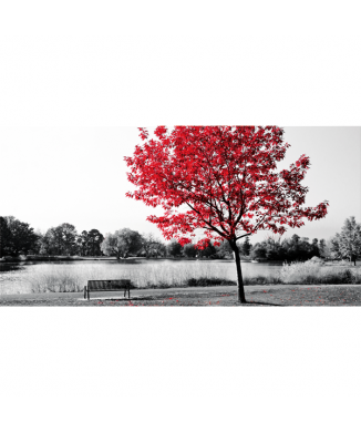 Marco CENTRAL PARK G2524 PINTDECOR