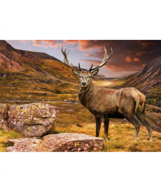 Marco CIERVO G3272 PINTDECOR