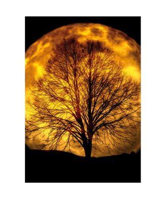 Marco MOONLIGHT G5786 PINTDECOR