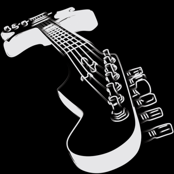 Cuadro GUITARRA BLANCO Y NEGRO G1482 PINTDECOR