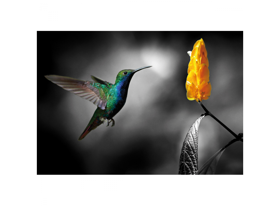 Marco COLIBRI 2 G3344 PINTDECOR