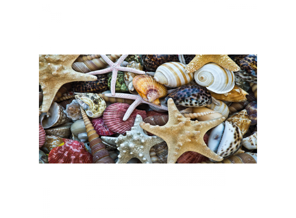 Cuadro CONCHAS G2034 PINTDECOR