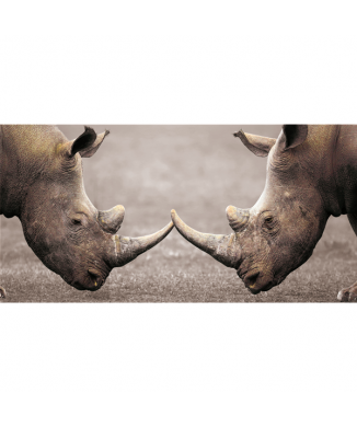 Marco CONTACTO G3316 PINTDECOR