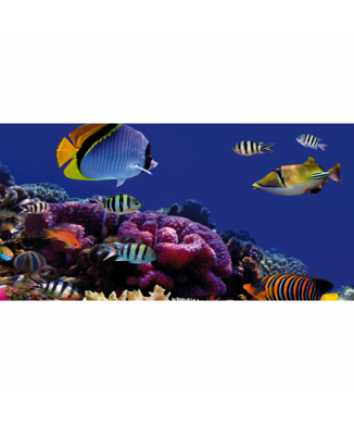 Marco CORALLI G1542 PINTDECOR