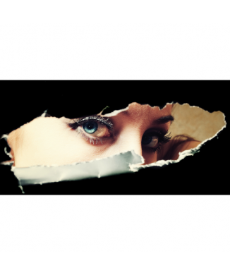 Cuadro CURIOSING G1810 PINTDECOR