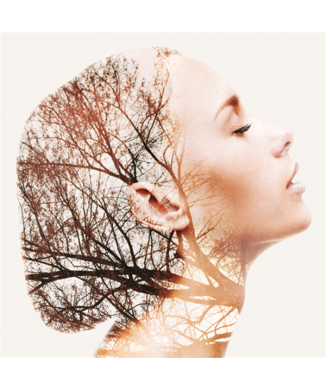 Marco DAFNE G3790 PINTDECOR