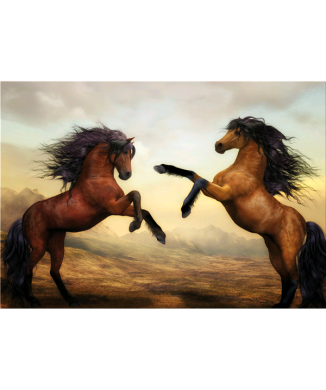 Marco STEEDS G5904 PINTDECOR