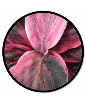 Quadro DETALLE FLORAL GT6188 PINTDECOR