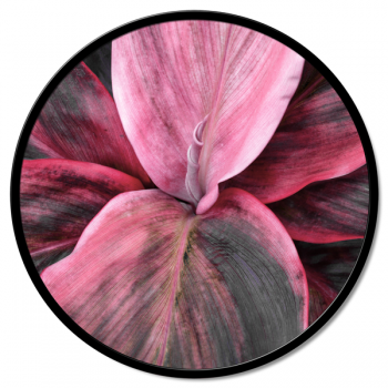 Quadro DETALLE FLORAL GT6188 PINTDECOR