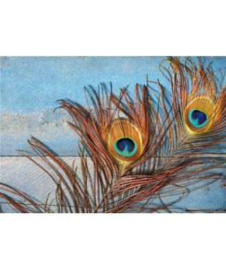 Marco DOS PLUMAS DE PAVO REAL G4050 PINTDECOR
