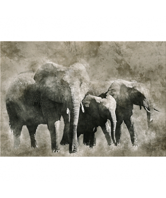 Marco ELEFANTES G6004 PINTDECOR