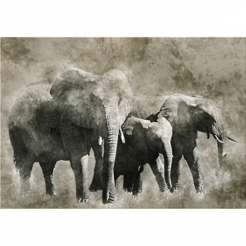 Marco ELEFANTES G6004 PINTDECOR