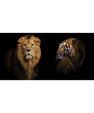 Marco FELINI G3280 PINTDECOR