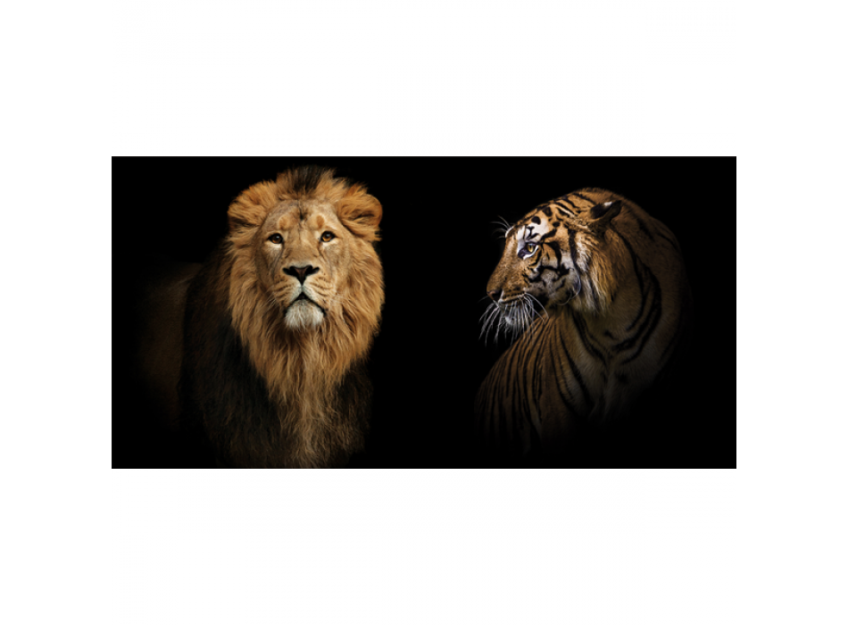 Marco FELINI G3280 PINTDECOR