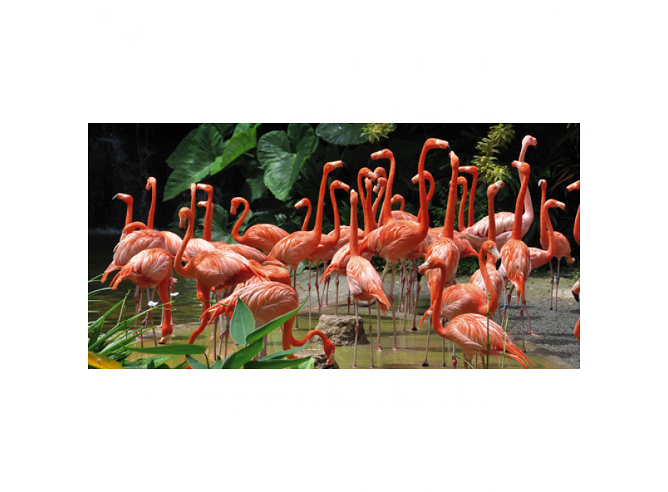 Marco FLAMINGOS G1538 PINTDECOR