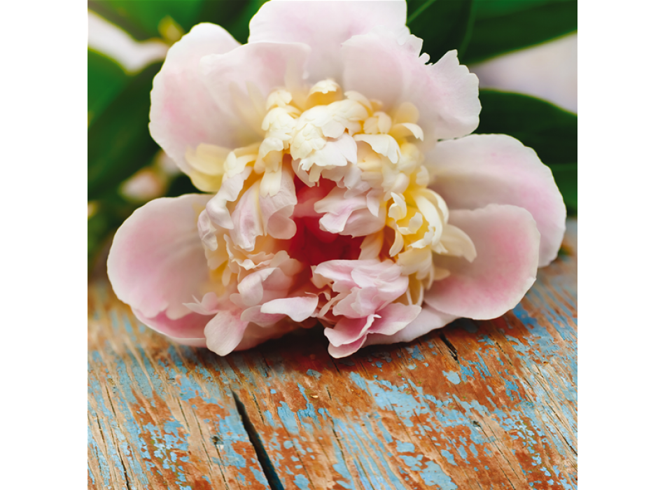 Marco FLOR SOBRE LA MESA G1072 PINTDECOR